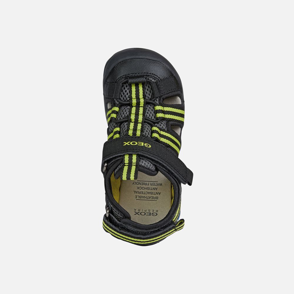 Sandalias Geox Menino Pretas/Verdes - Kyle - CAMLI4163